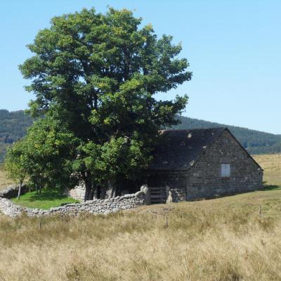 Aux alentours du gîte