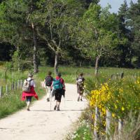 Randonnée sur le chemin de St Jacques